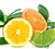 Airwick_Fragrances_1.1_Citrus.png
