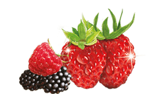 Air Wick Fruity Fragrances